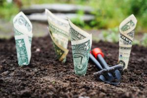Finanzdenken Geld pflanzen Aktienmarkt